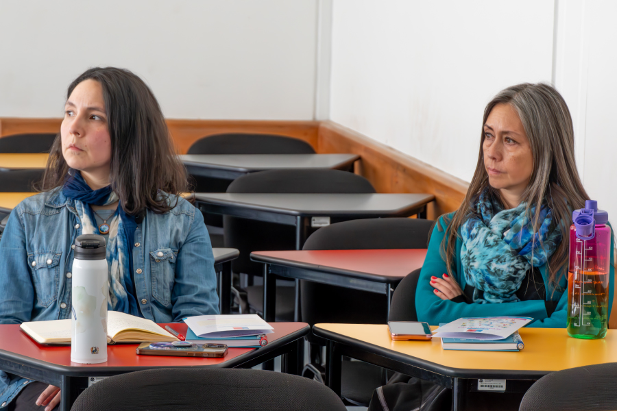 Docentes de pregrado-UFRO participan de taller sobre Primeros Auxilios Psicológicos