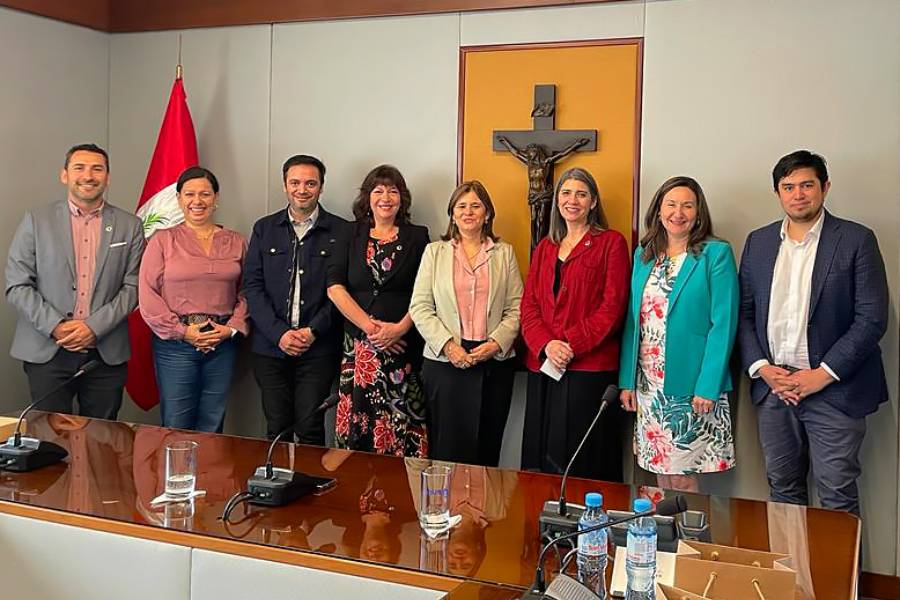 Equipo UFRO visitó universidad peruana para compartir experiencias en el marco de la implementación de Modelo Educativo